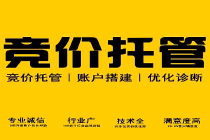 SEM搜索引擎优化：成功案例解析